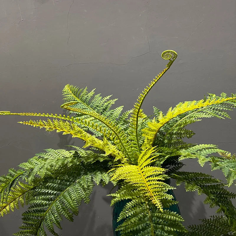 Boston Fern Bush Set