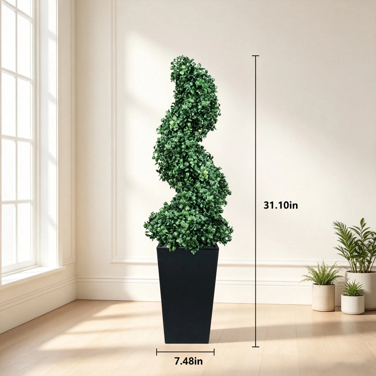 Spiral Boxwood Topiary Pair