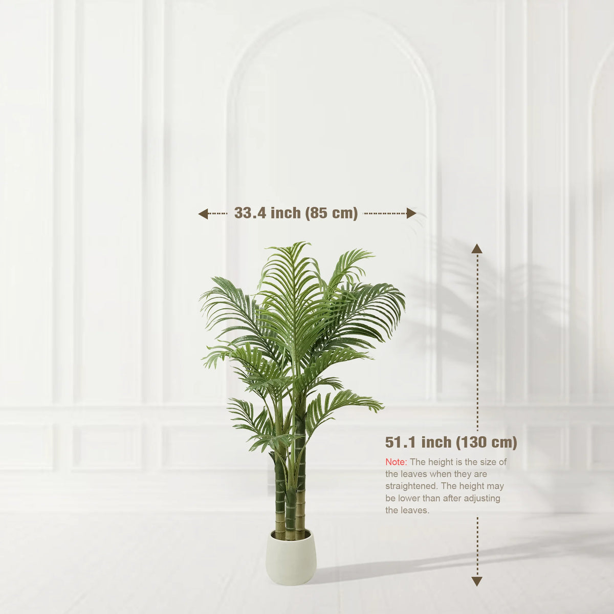 Triple Trunk Areca Palm