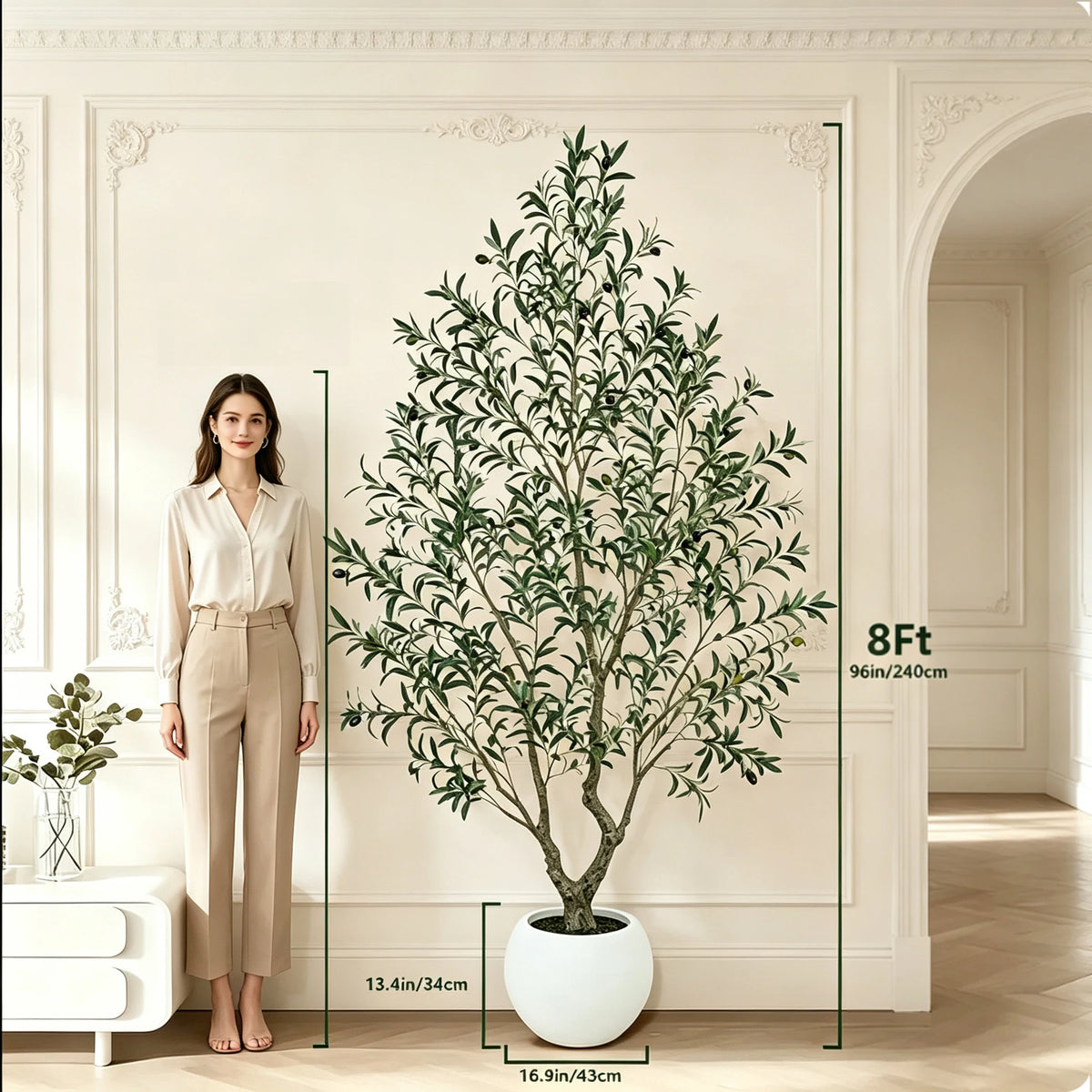Olive Tree in Planter