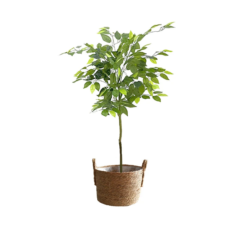 Large Artificial Ficus Silk Tree