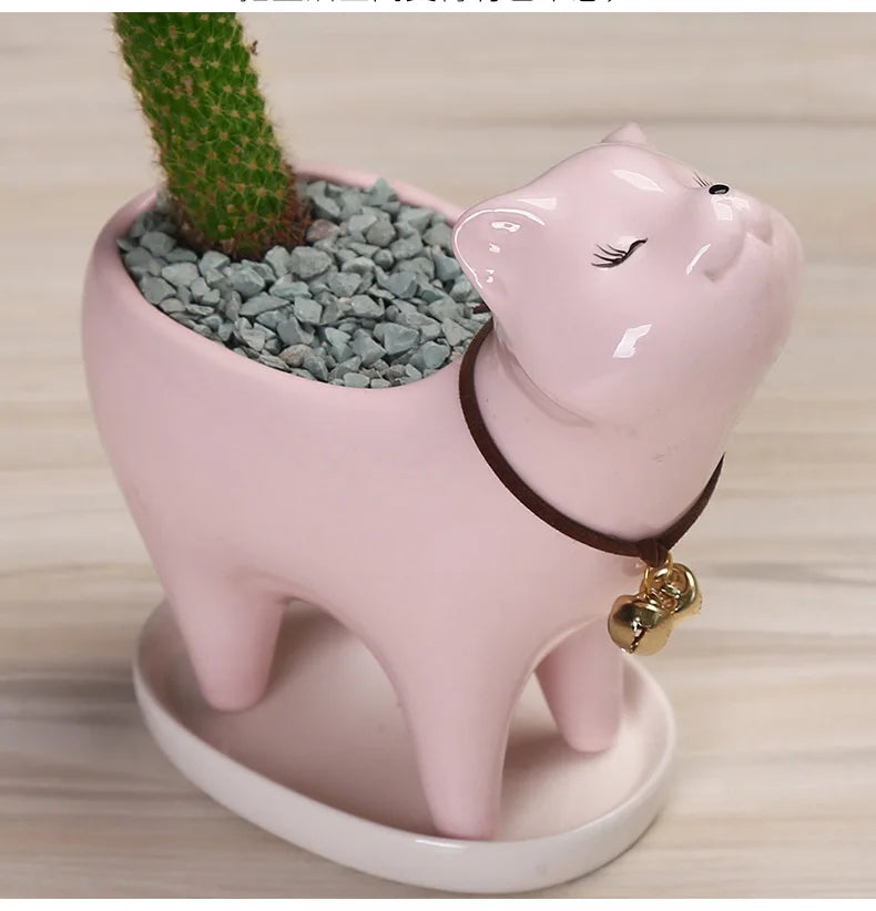 Ceramic Succulent Flowerpot Garden Gardening