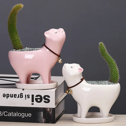 Ceramic Succulent Flowerpot Garden Gardening