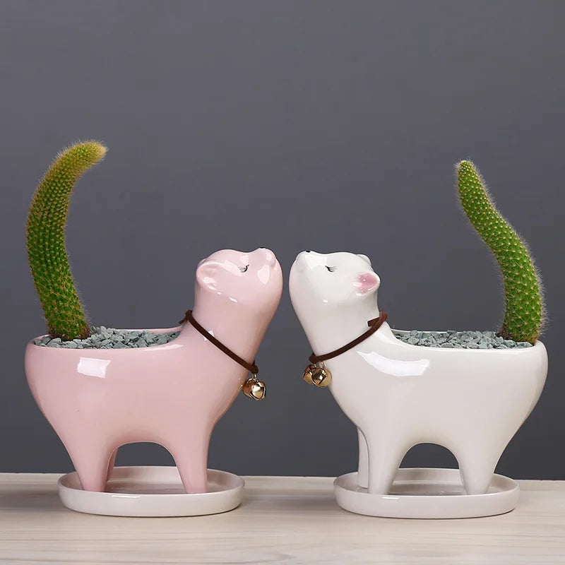 Ceramic Succulent Flowerpot Garden Gardening