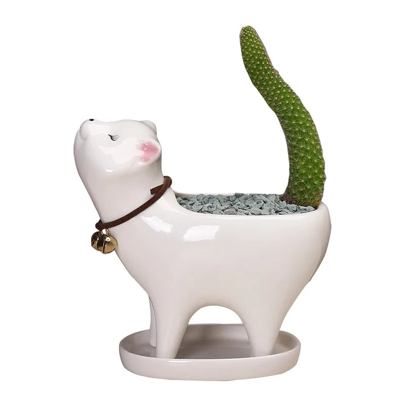 Ceramic Succulent Flowerpot Garden Gardening