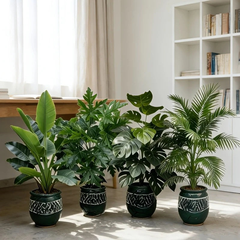 Areca Palm Leaf Quartet
