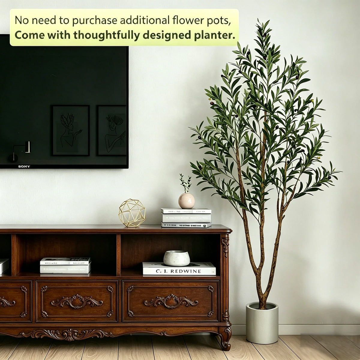 Olive Tree in Tall Planter