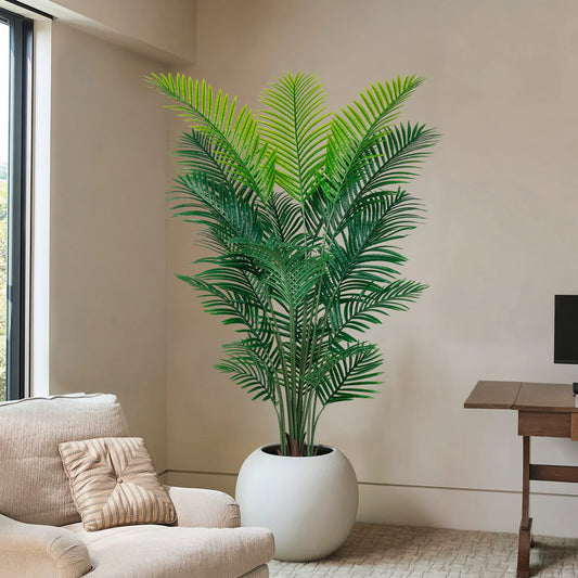 Areca Palm Floor Plant