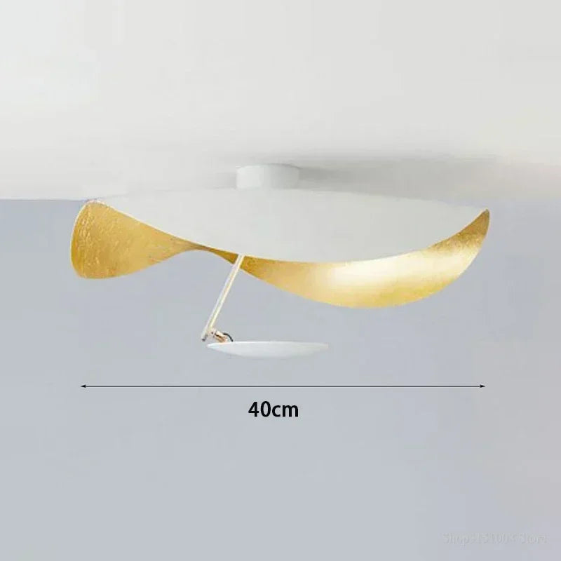 Modern Black and White LED Ceiling Lamp