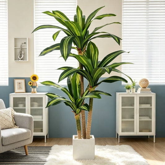 Dracaena Tree in Pot