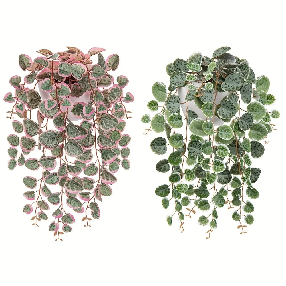 Hanging Eucalyptus Vine