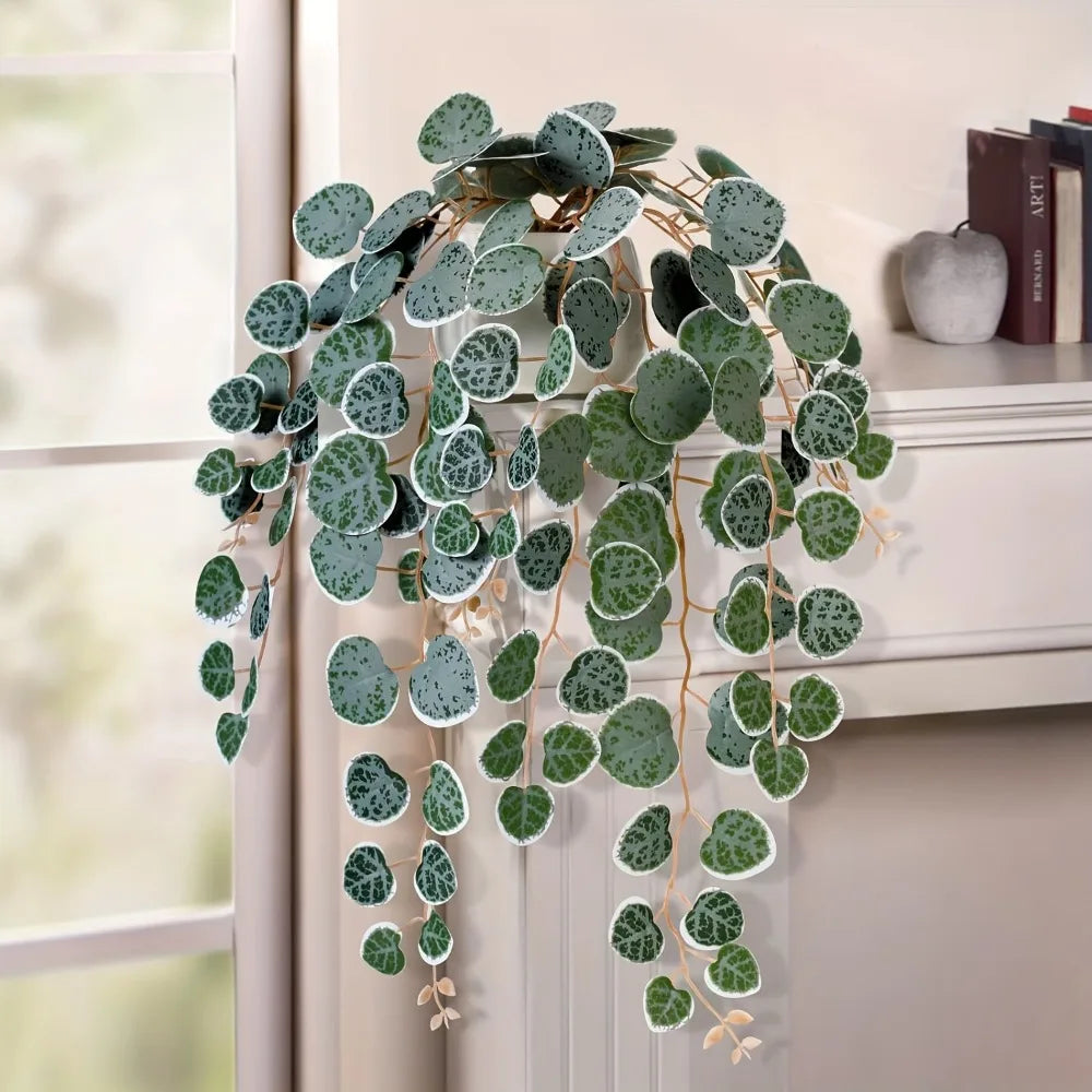 Hanging Eucalyptus Vine