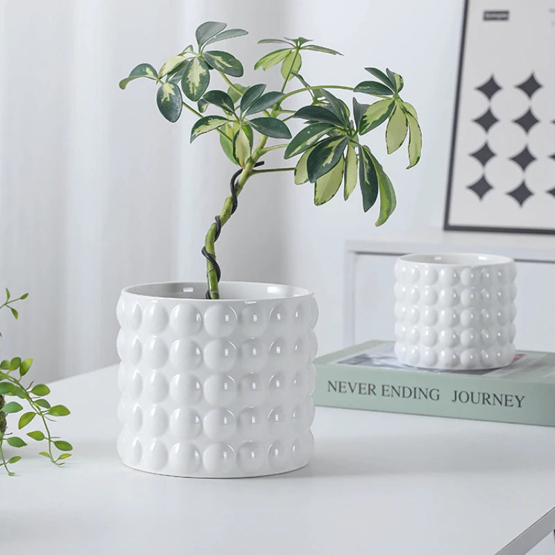 White Ceramic Flowerpot