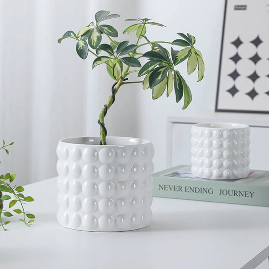 White Ceramic Flowerpot