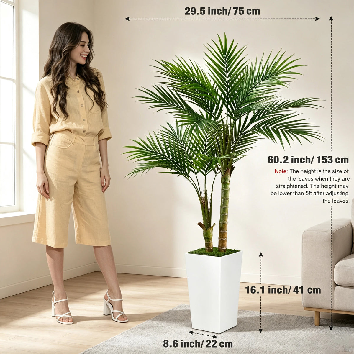 Areca Palm in White Planter