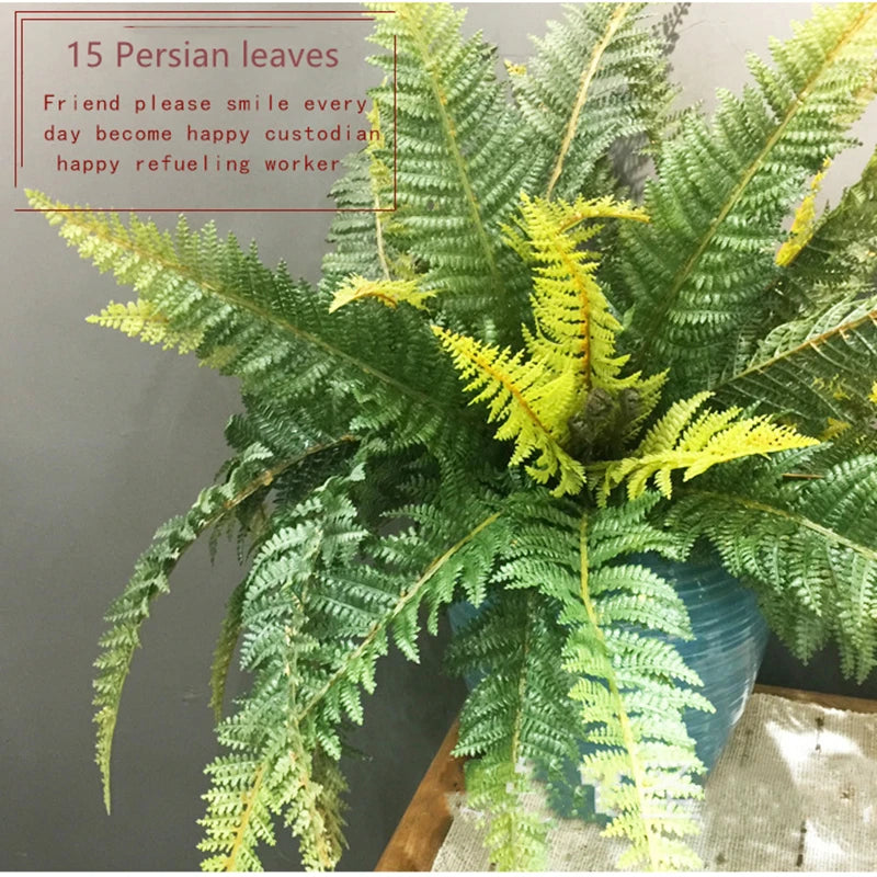 Boston Fern Bush Set