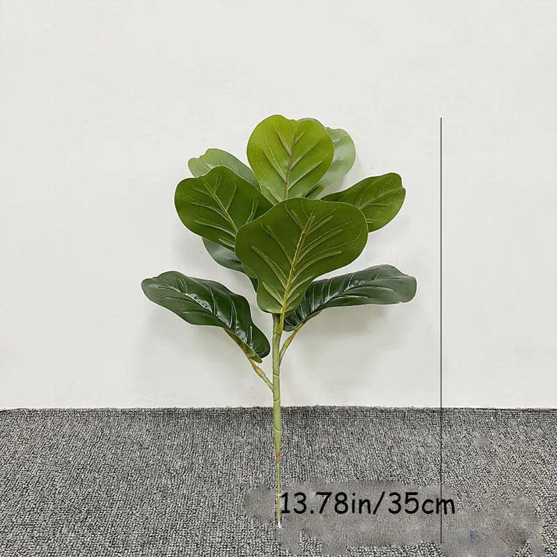 Large Banyan Ficus Tree