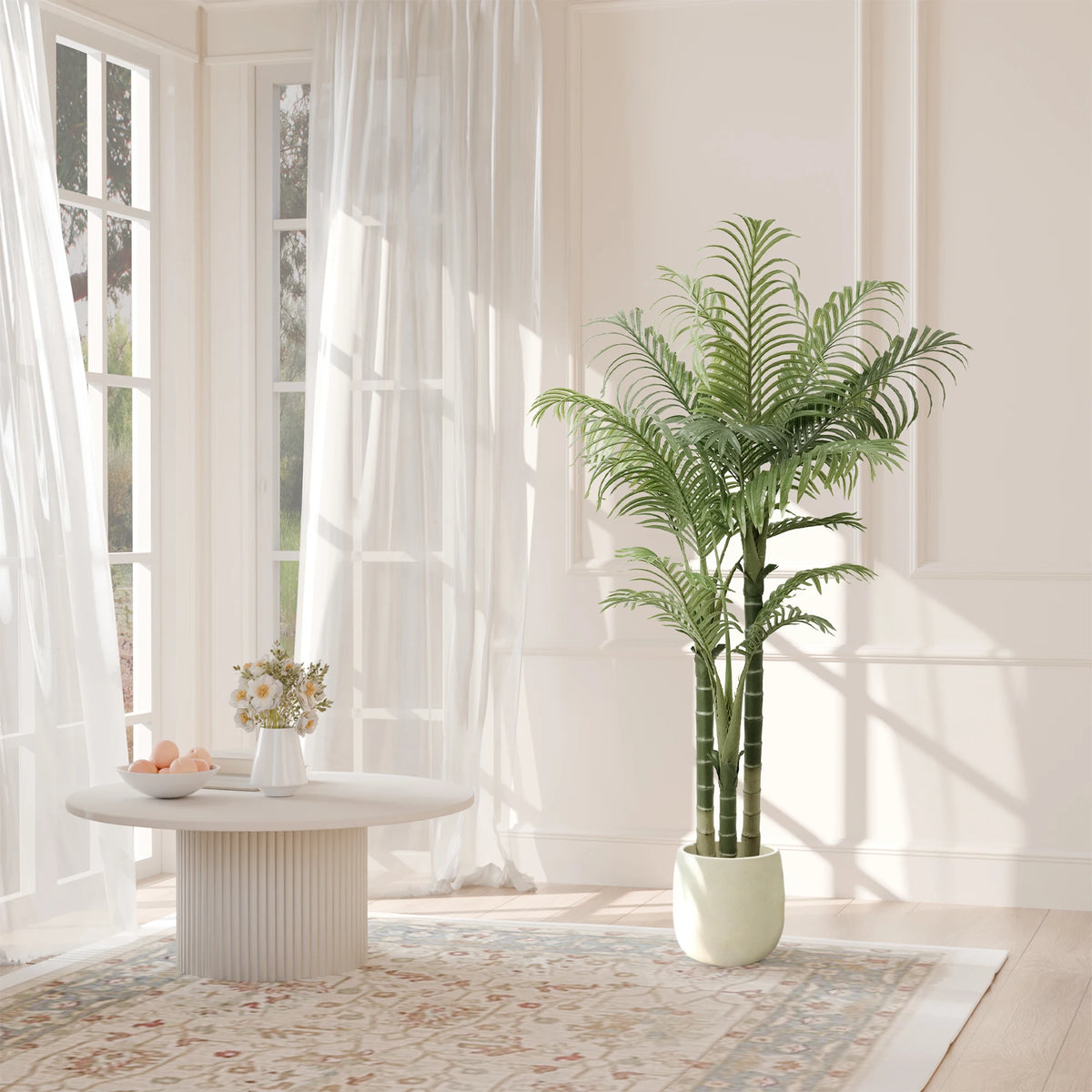 Triple Trunk Areca Palm