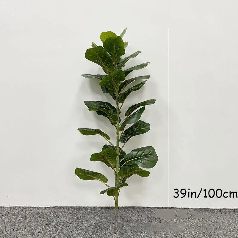 Large Banyan Ficus Tree