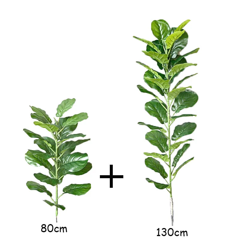 Banyan Ficus Tree 70in
