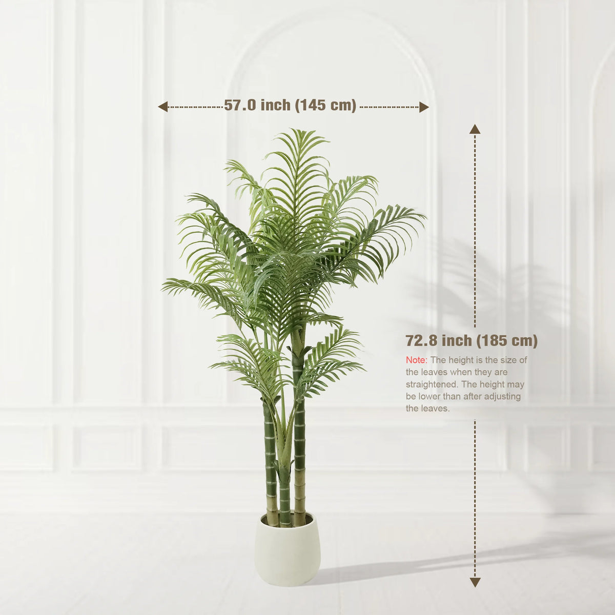 Triple Trunk Areca Palm