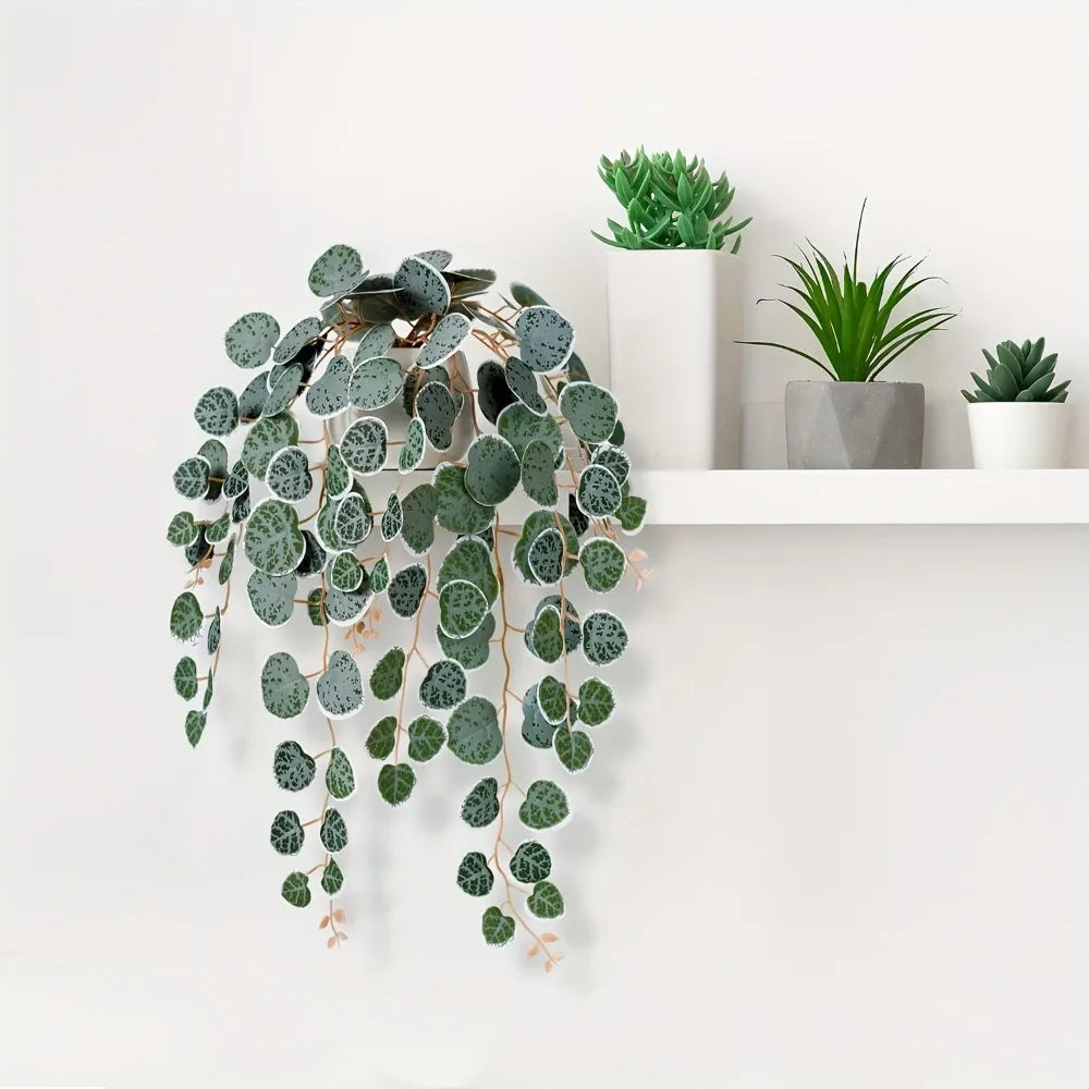 Hanging Eucalyptus Vine