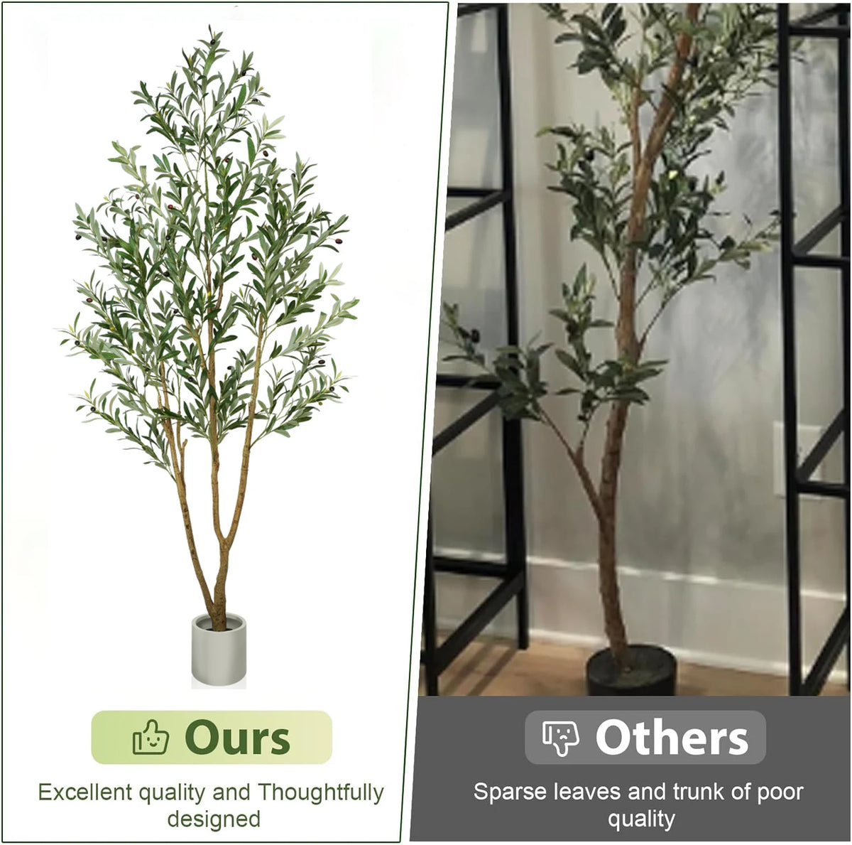 Olive Tree in Tall Planter