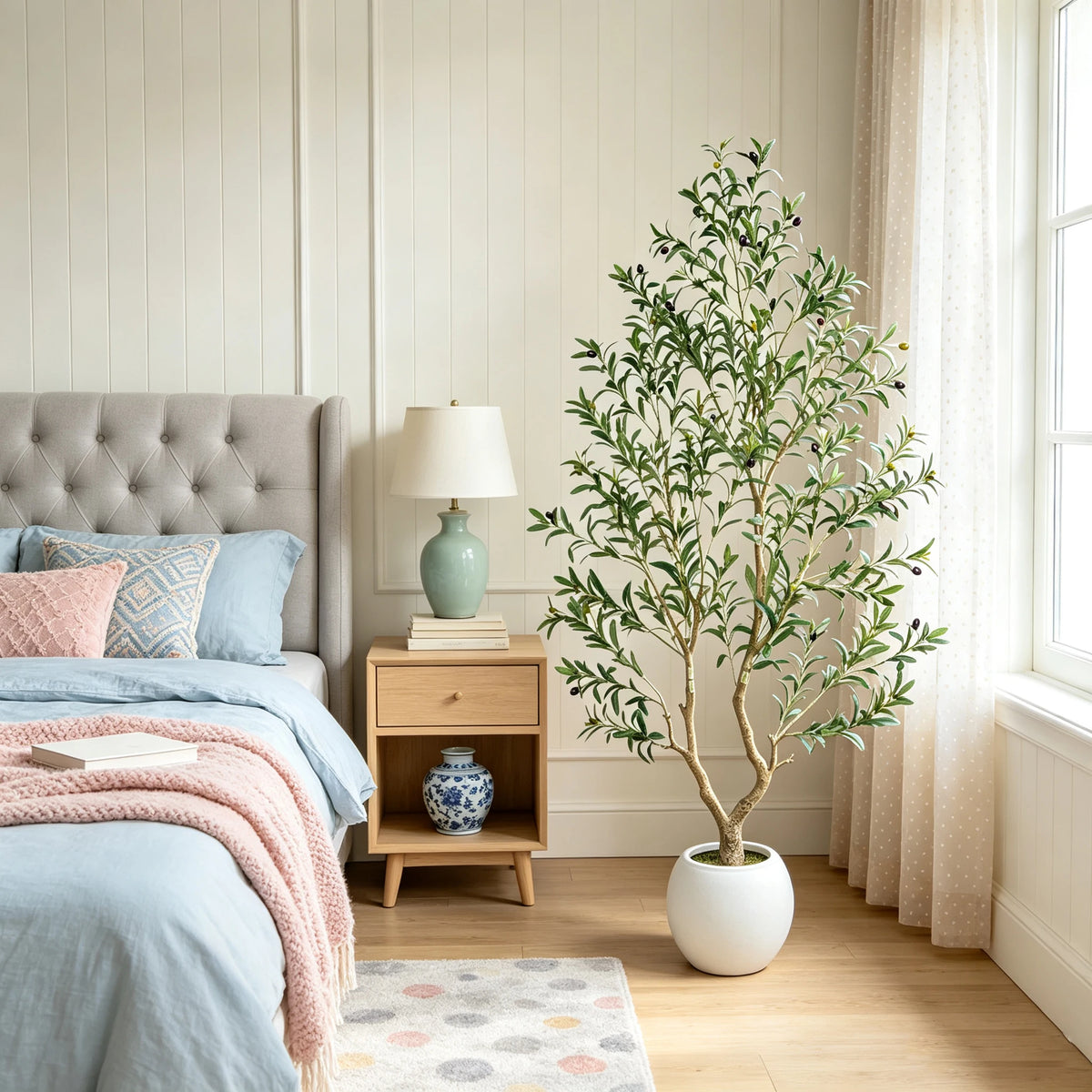 Olive Tree in Planter
