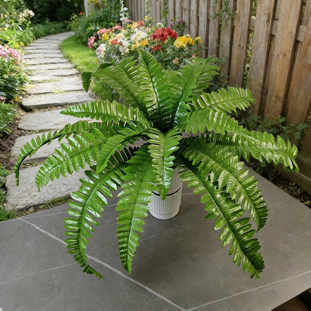 Boston Fern Bush Set