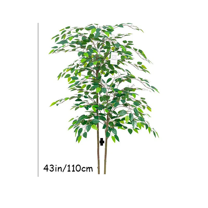 Banyan Ficus Tree 70in