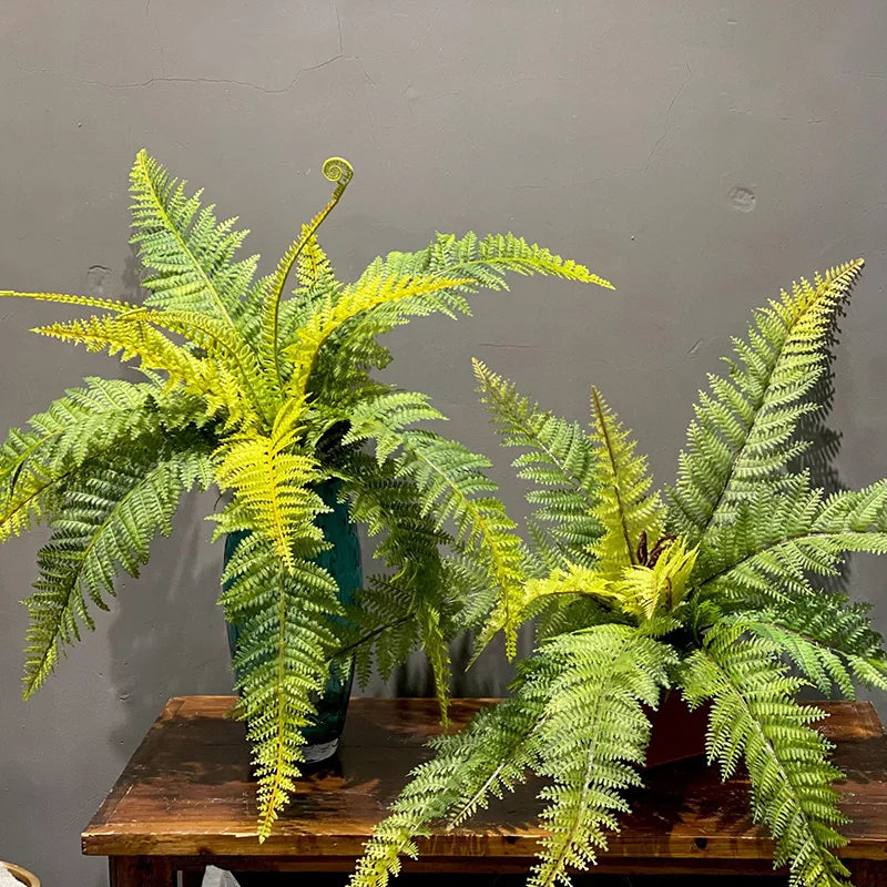 Boston Fern Bush Set