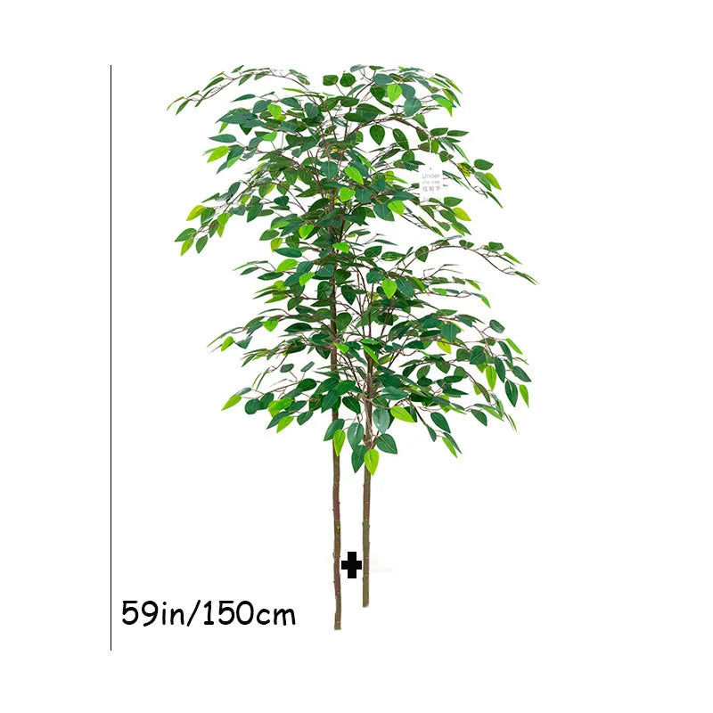 Banyan Ficus Tree 70in