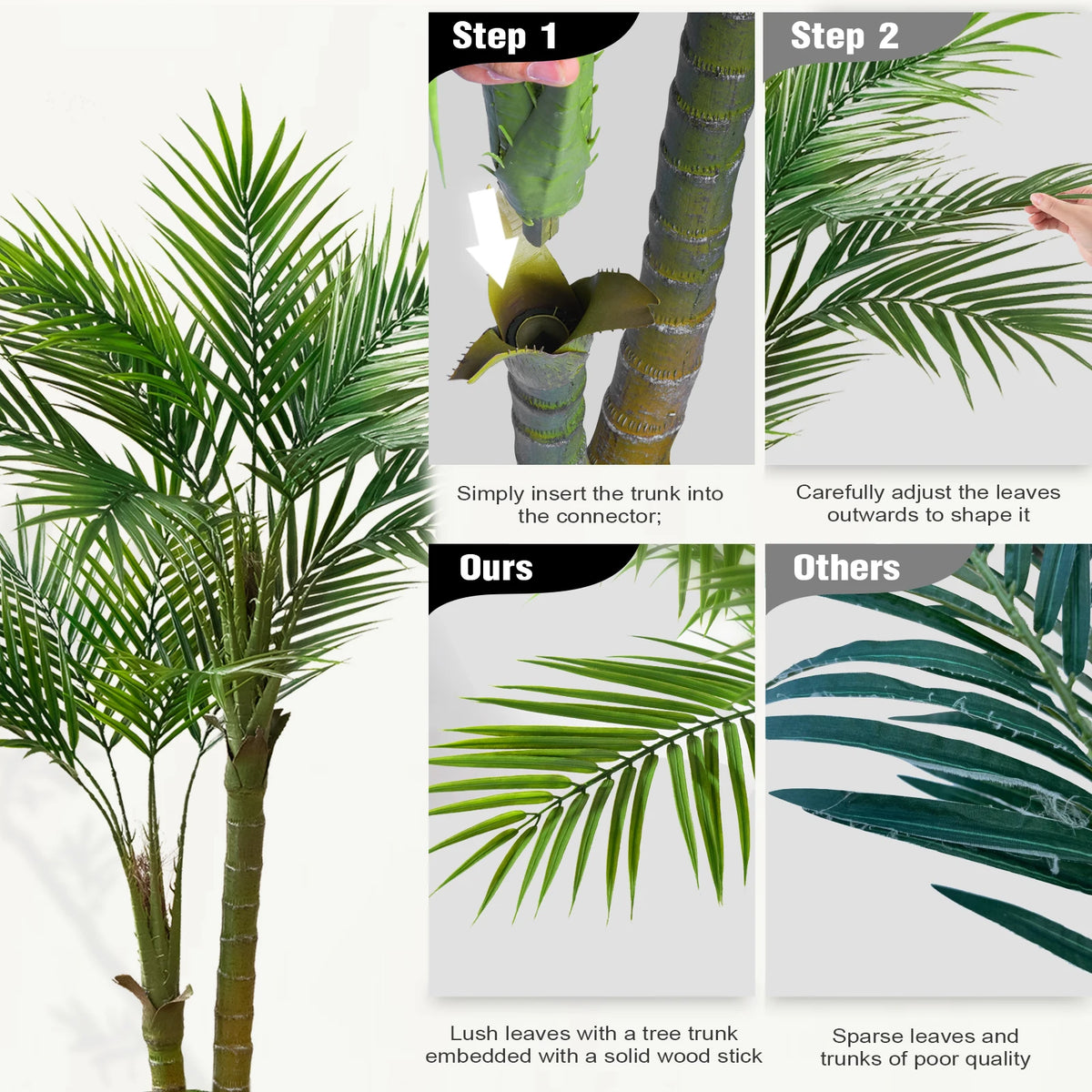 Areca Palm in White Planter