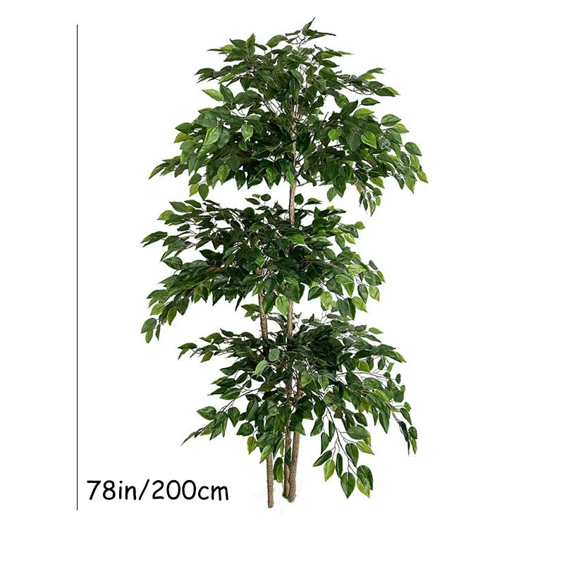 Banyan Ficus Tree 70in