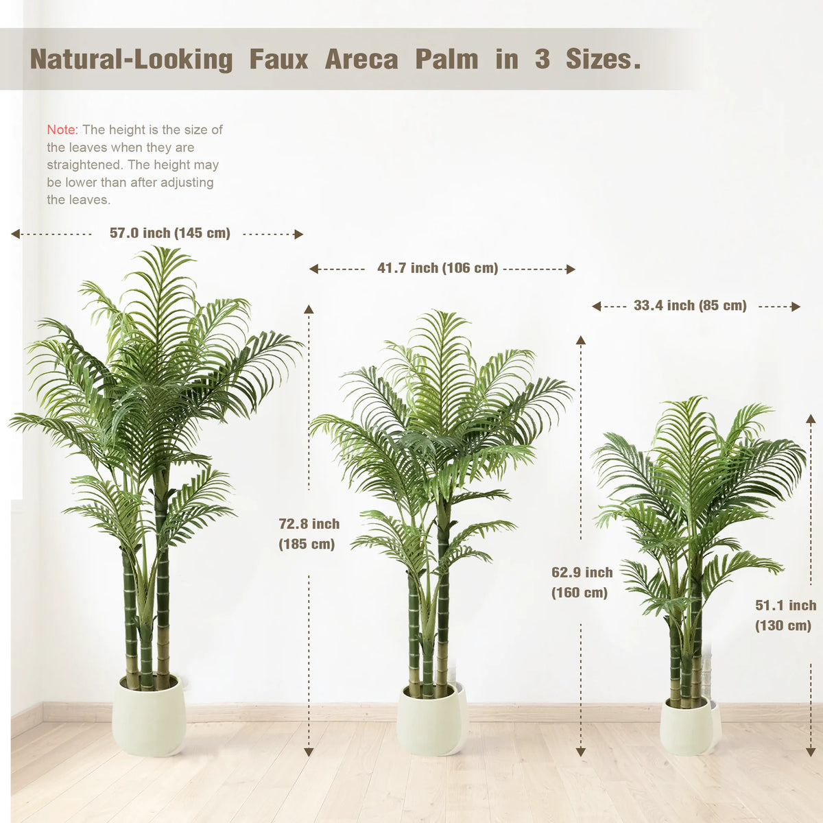 Triple Trunk Areca Palm