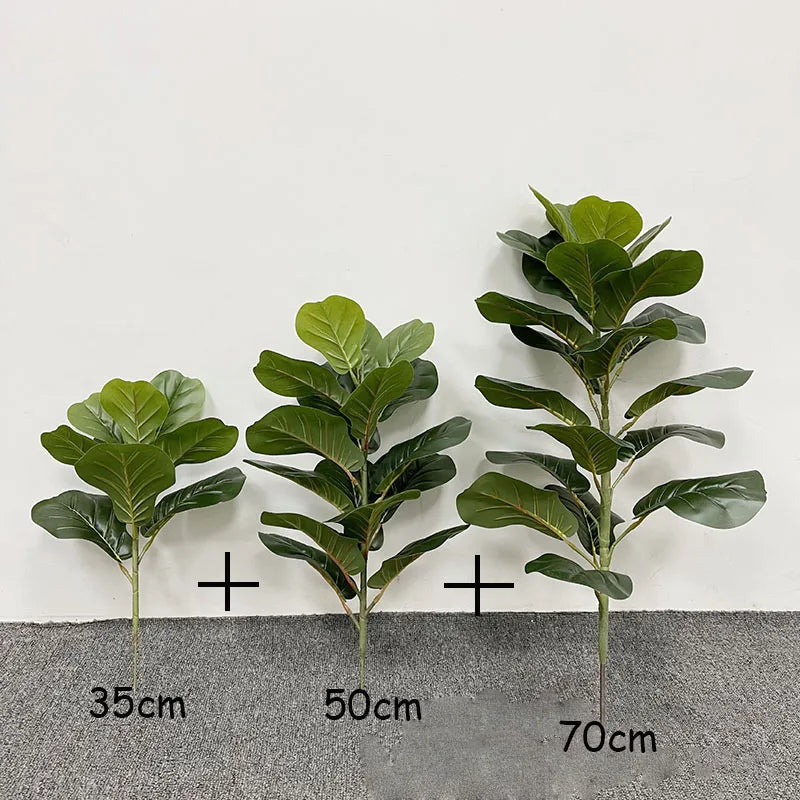 Large Banyan Ficus Tree