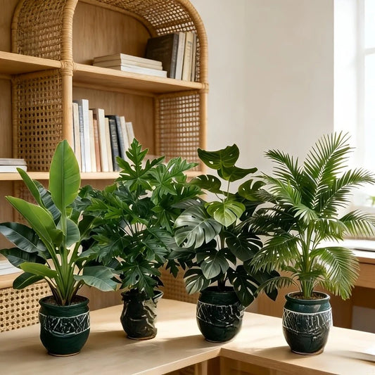 Areca Palm Leaf Quartet