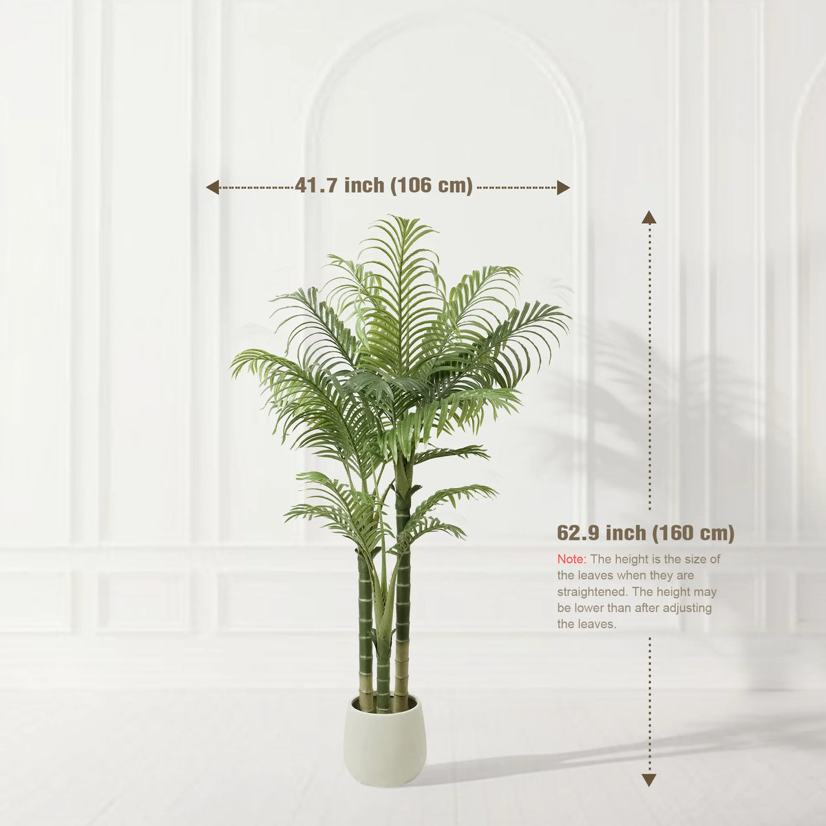 Triple Trunk Areca Palm
