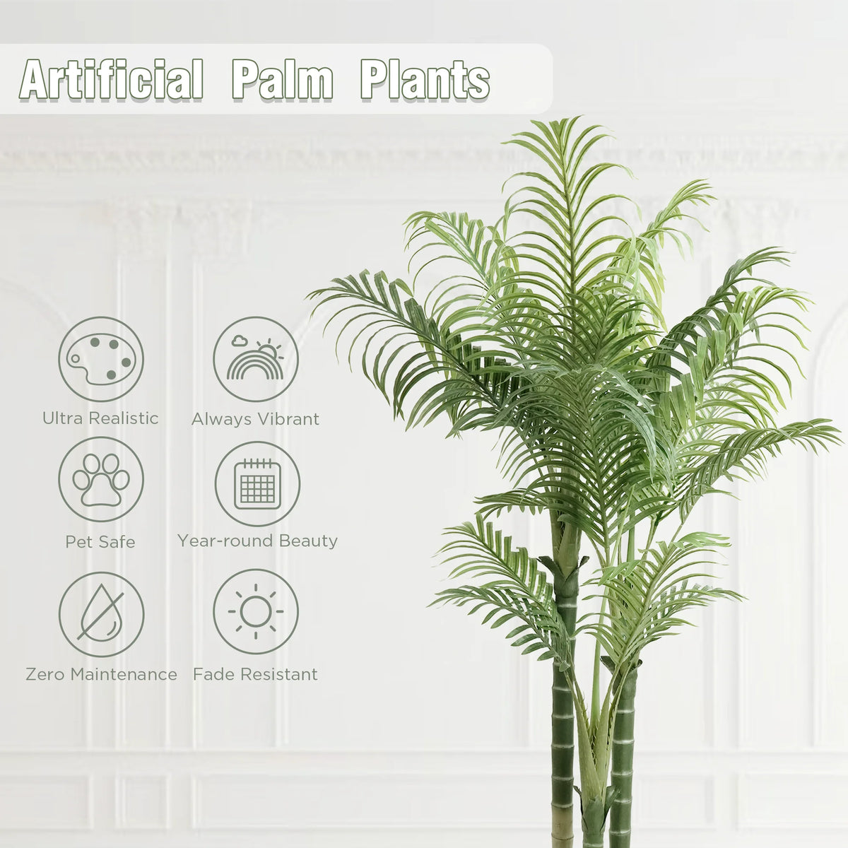 Triple Trunk Areca Palm