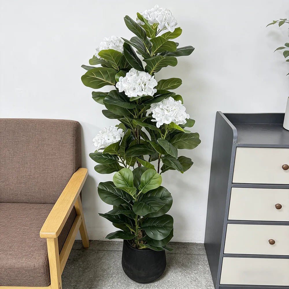 Fiddle Fig with Hydrangea