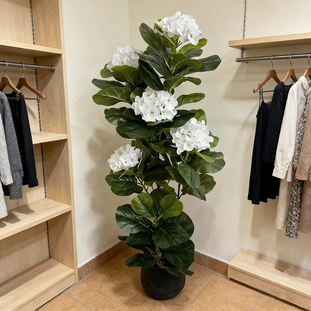 Fiddle Fig with Hydrangea