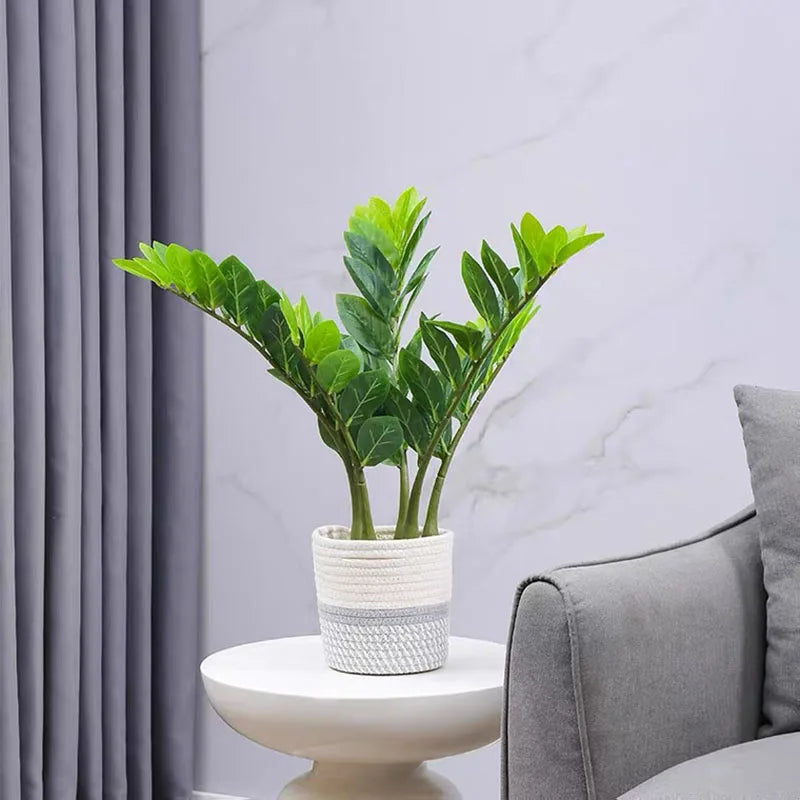 Fake Ficus Tree Artificial Money