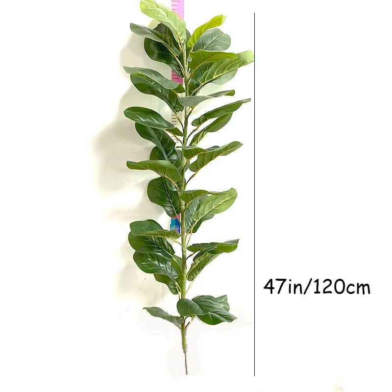 Large Banyan Ficus Tree