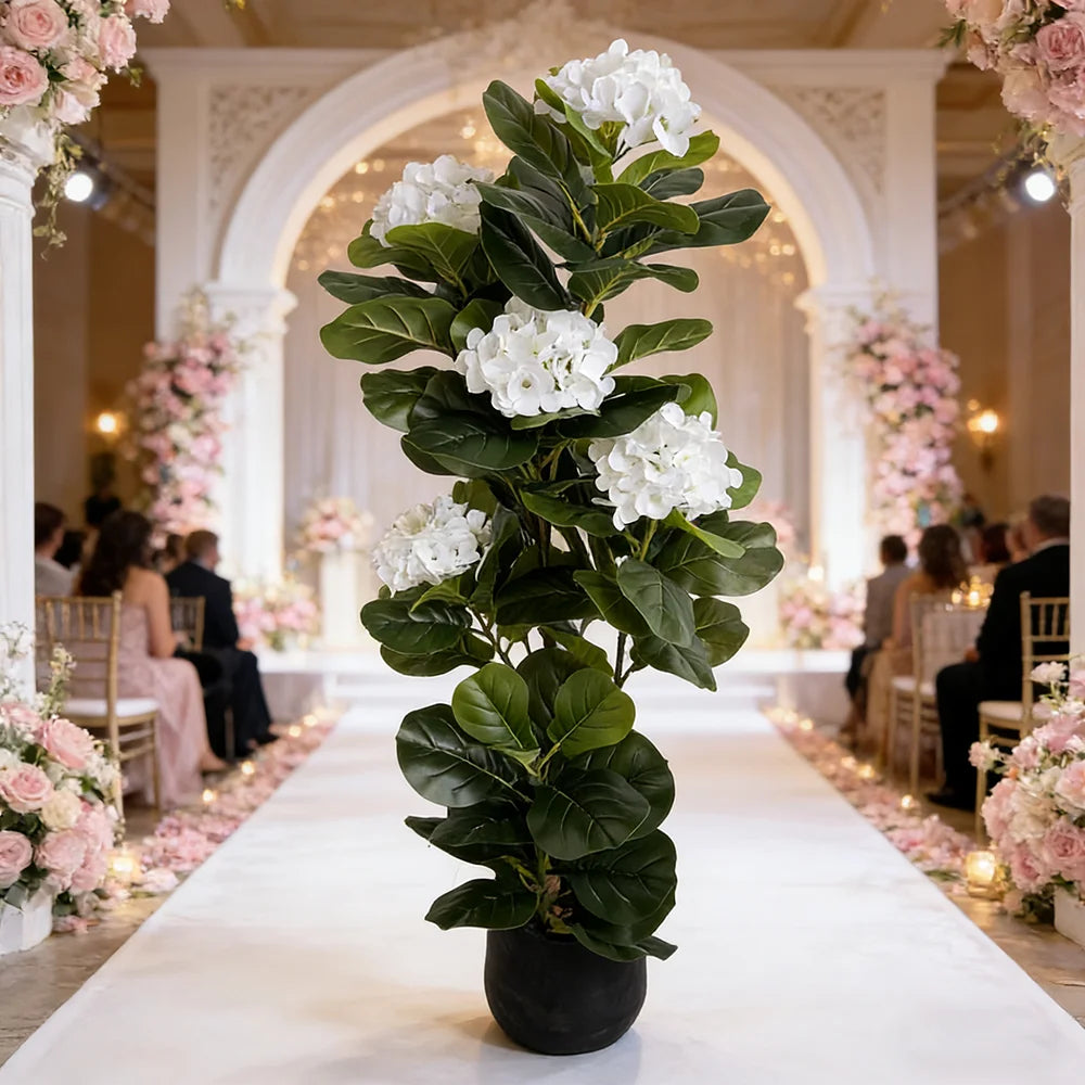 Fiddle Fig with Hydrangea