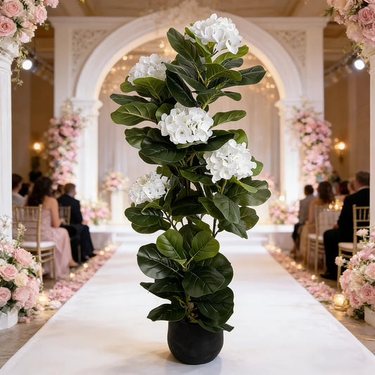 Fiddle Fig with Hydrangea