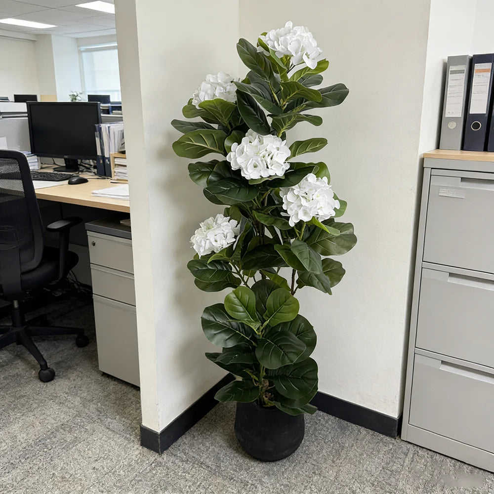 Fiddle Fig with Hydrangea
