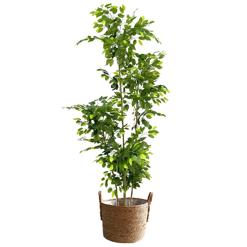 Large Artificial Ficus Silk Tree
