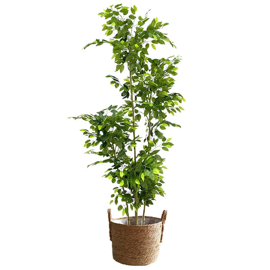 Large Artificial Ficus Silk Tree