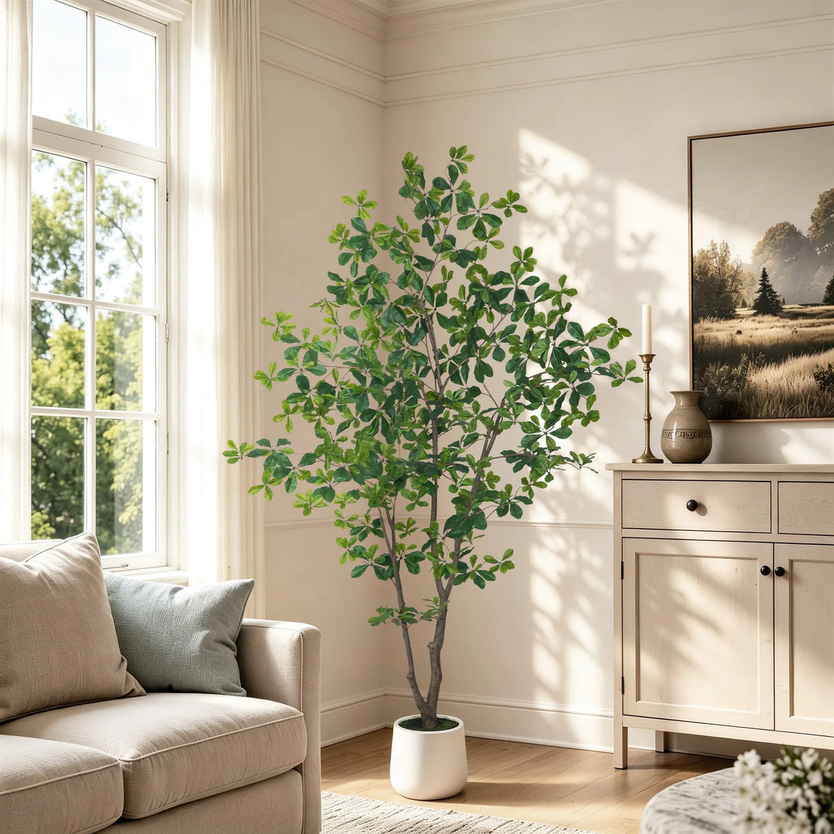 Black Olive Tree in White Pot