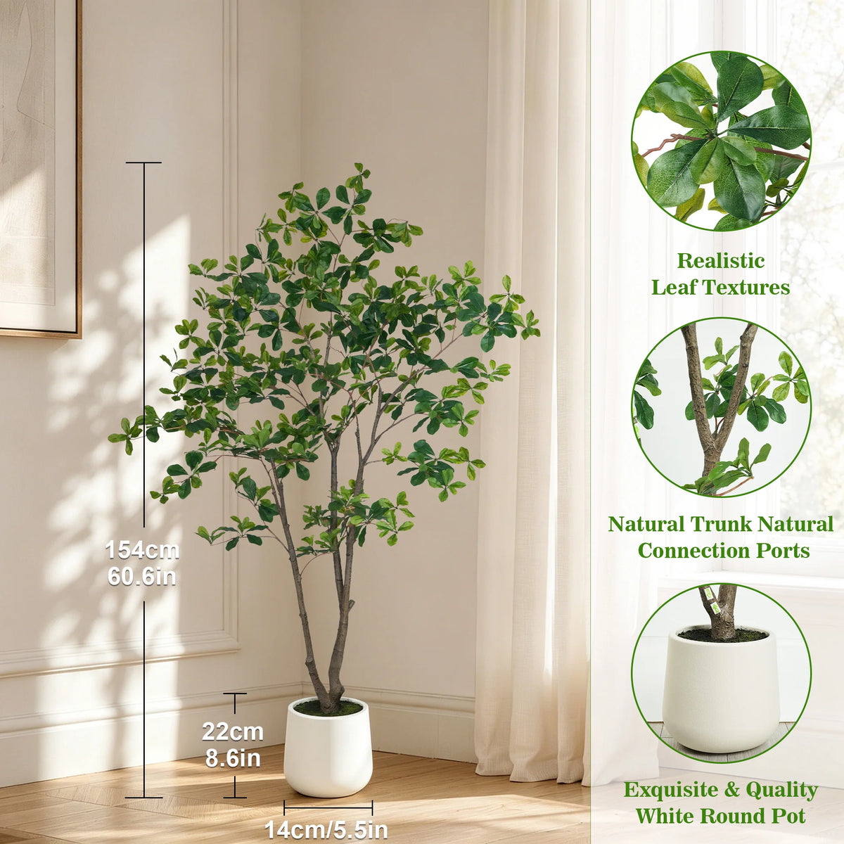 Black Olive Tree in White Pot